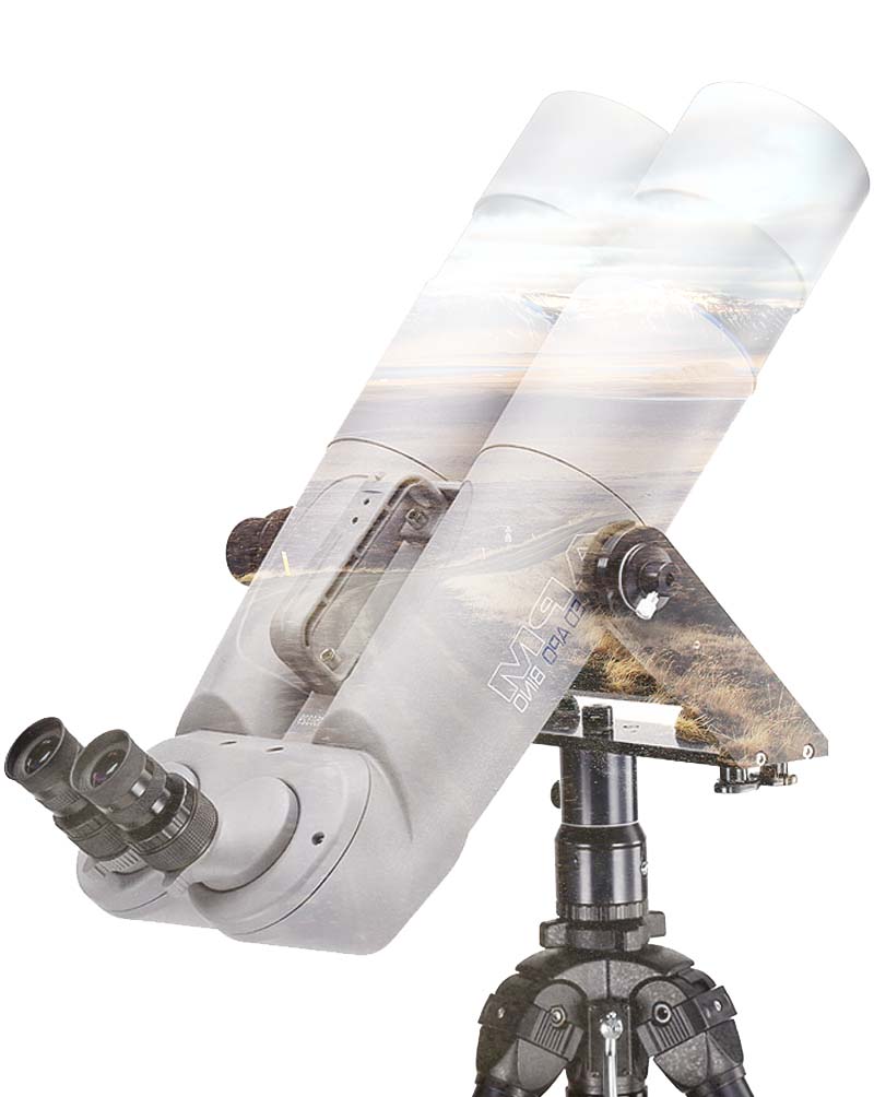 Image module